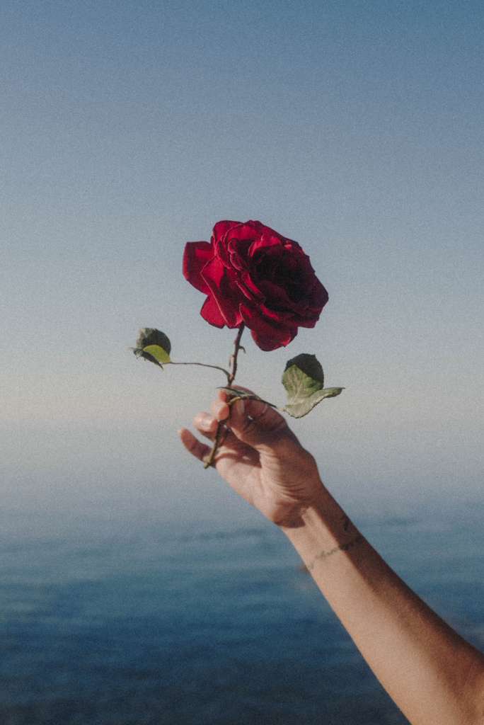 Rose Tea Meditation with Adrienne / 07.05.26