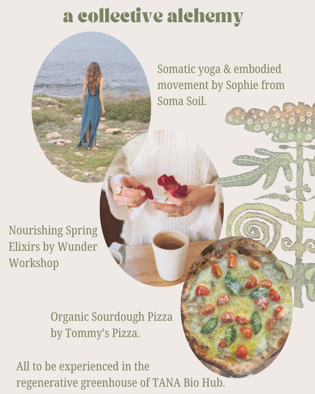 Fertile Ground / Spring Equinox Gathering / 20.03.26