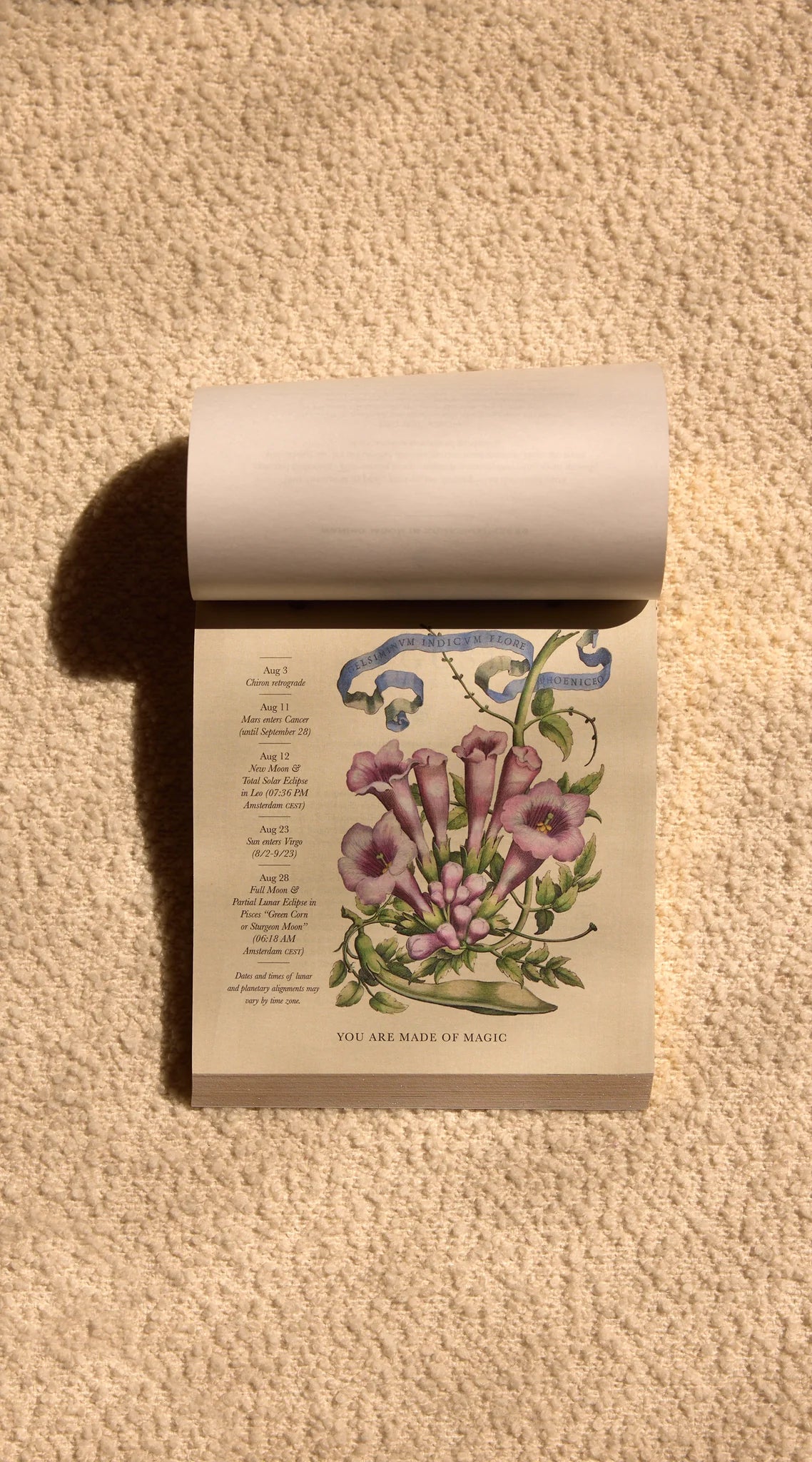 Moonsisters - Limited edition Moon Calendar 2026