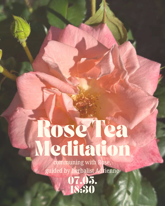 Rose Tea Meditation with Adrienne / 07.05.26