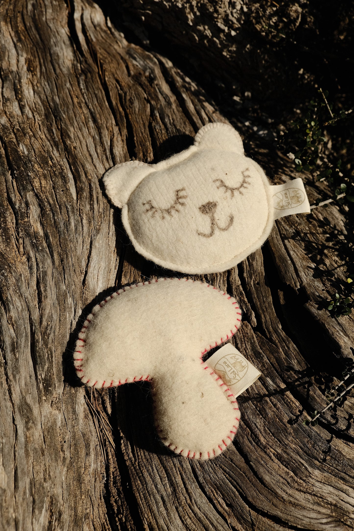 Tramuntana Bear - Sol Lana